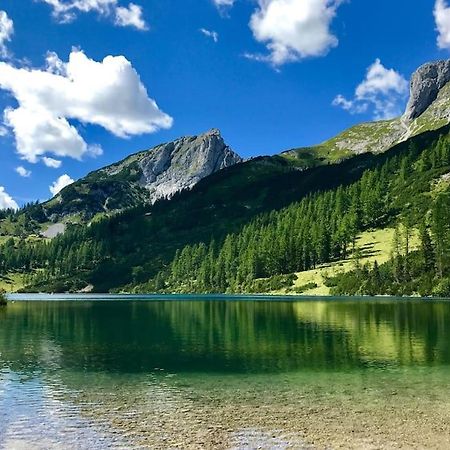 Alpenurlaub II Wohnung Mit Traumausblick バート・ミッテルンドルフ エクステリア 写真