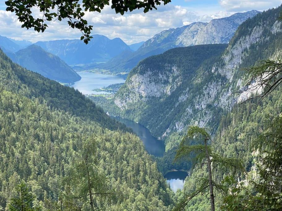 Alpenurlaub II Wohnung Mit Traumausblick バート・ミッテルンドルフ エクステリア 写真