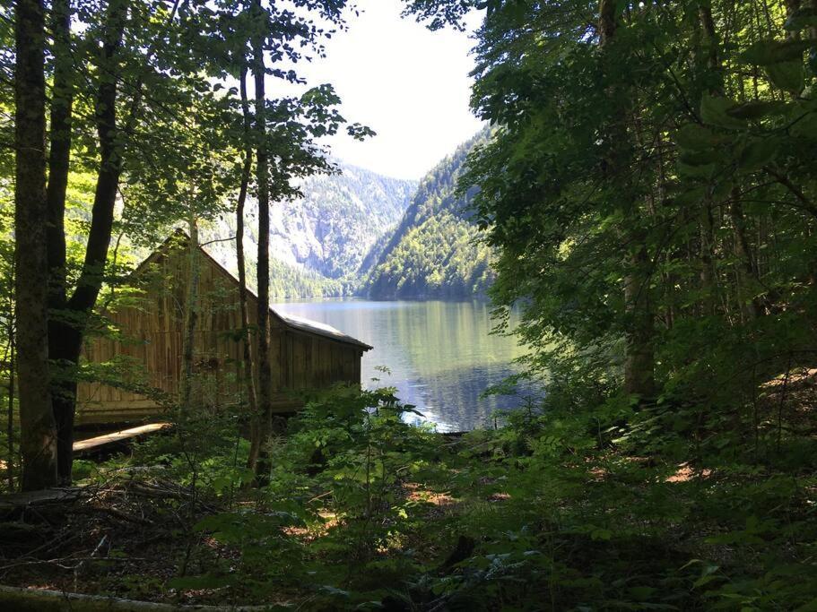Alpenurlaub II Wohnung Mit Traumausblick バート・ミッテルンドルフ エクステリア 写真