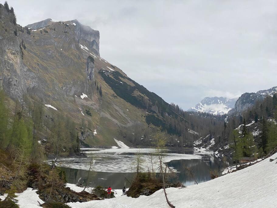 Alpenurlaub II Wohnung Mit Traumausblick バート・ミッテルンドルフ エクステリア 写真
