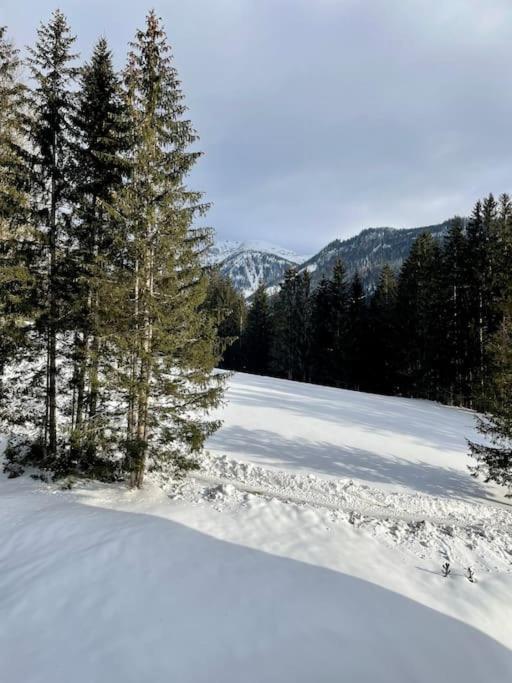 Alpenurlaub II Wohnung Mit Traumausblick バート・ミッテルンドルフ エクステリア 写真