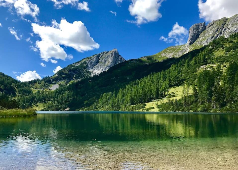 Alpenurlaub II Wohnung Mit Traumausblick バート・ミッテルンドルフ エクステリア 写真
