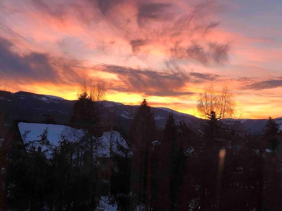 Alpenurlaub II Wohnung Mit Traumausblick バート・ミッテルンドルフ エクステリア 写真