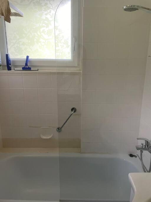 Alpenurlaub II Wohnung Mit Traumausblick バート・ミッテルンドルフ エクステリア 写真